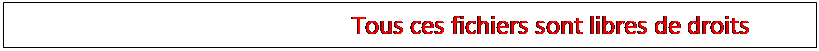 Zone de Texte: Tlchargements :		Tous ces fichiers sont libres de droits


